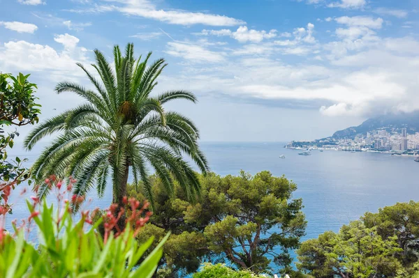 Panoramisch uitzicht van de villa op Monte Carlo. — Stockfoto