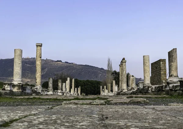 在特拉布宗的Ataturk大厦的外景 有植被和人 土耳其特拉布宗 2019年6月3日 — 图库照片