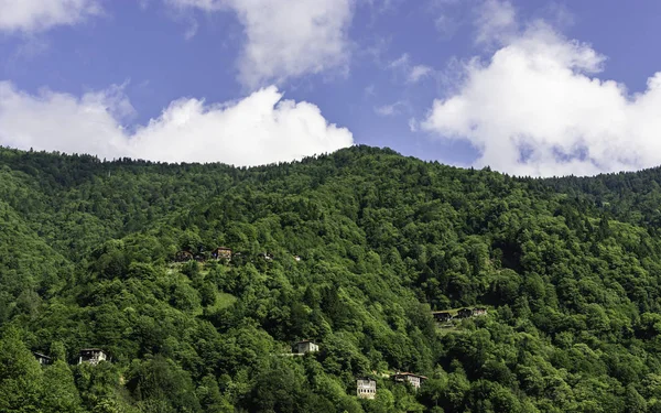 Karadeniz 'deki ağaçlar ve ormanlar arasındaki evler. Mavi gökyüzü ve bulutlar.