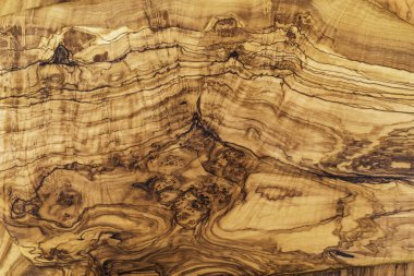 Zeytin ağacının gövdesinden ve deseninden bir detay. Parlak yüzey ve düğüm izlerinden oluşan doku.