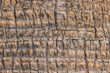 taş duvarın dokusu