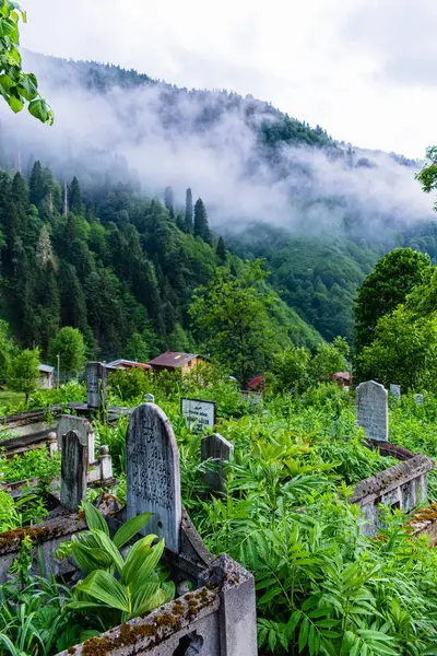 Ayder Platosu, Rize, Türkiye. Yaz turizmi için popüler bir yer.