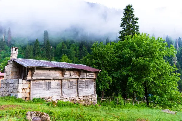 Ayder Platosu, Rize, Türkiye. Yaz turizmi için popüler bir yer.