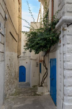 Peschici (Puglia, İtalya) Beyaz evleriyle tipik eski sokak
