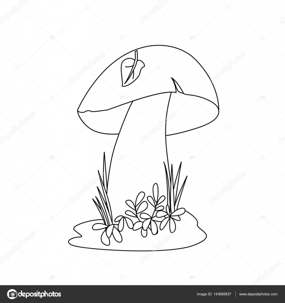 Libro da colorare funghi porcini — Vettoriali Stock Libro da colorare funghi porcini — Vettoriale Stock