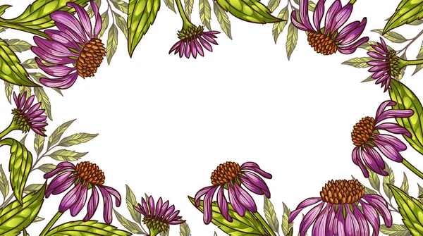 Fond ou cadre floral — Image vectorielle