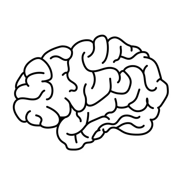 Flachen Stil menschliches Gehirn Seitenansicht Doodle Illustration — Stockvektor