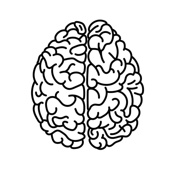 Flachen Stil menschliches Gehirn Draufsicht Doodle Illustration — Stockvektor