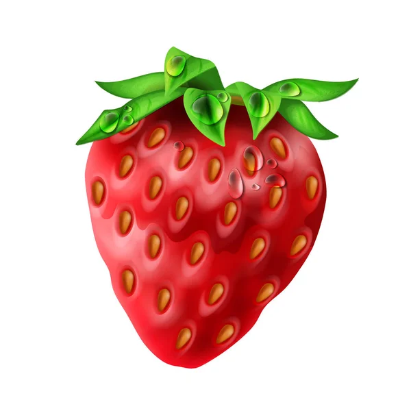Erdbeere mit Wassertropfen — Stockvektor
