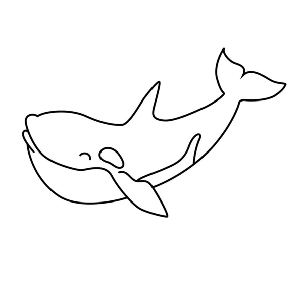 Orca — स्टॉक व्हेक्टर