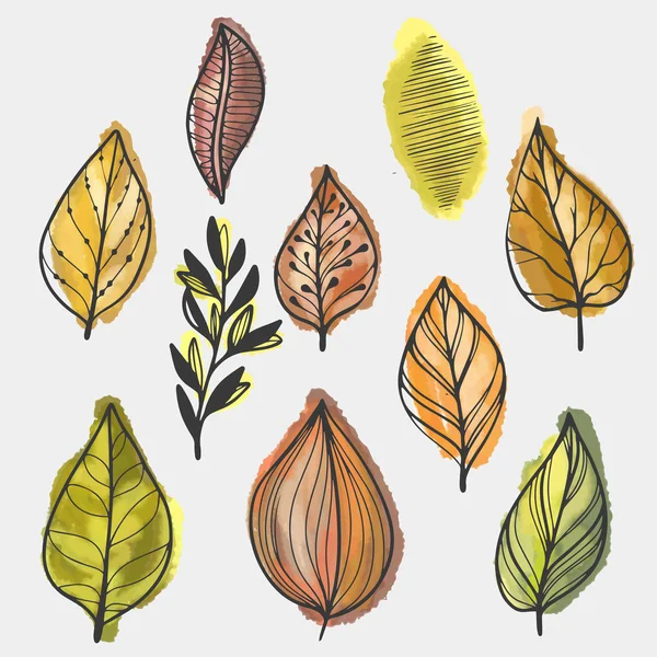 Hand Drawn Colorful Early Spring Leaves Leaves Set — Stock Vector