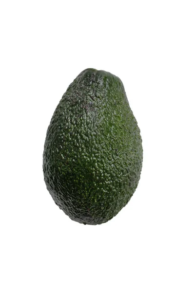 possumwood isolatedon beyaz 