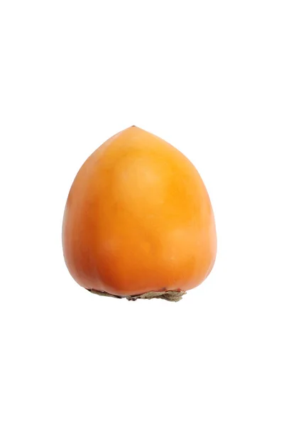 possumwood isolatedon beyaz 