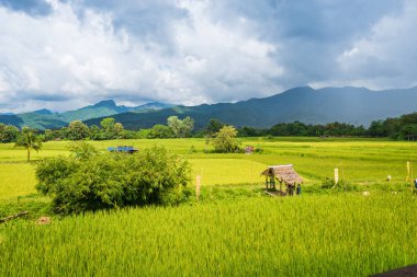 Paddy alan ve dağ manzara mavi gökyüzünde güneş gün Pua. bölgede, Nan Eyaleti, Tayland altında