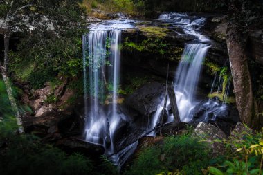 Kalem Pob Mai şelale, Phukradueng Milli Parkı: Tayland