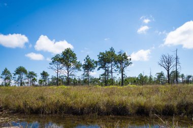 Phukradueng Milli Parkı: Tayland