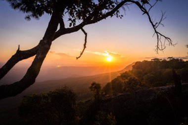 Sunrise üst kısmında Dağı'nda Phukradueng Milli Parkı: Loei il Tayland
