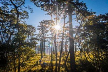 Orman ve dağ Phu Soi Dao Milli Parkı,: Utaradit Eyaleti, Tayland