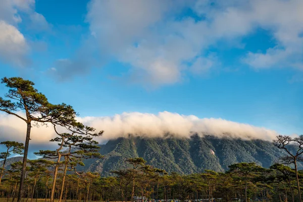 Orman ve dağ Phu Soi Dao Milli Parkı,: Utaradit Eyaleti, Tayland