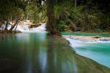 Tat Kuang Si şelale veya Luang Prabang, Laos, Kouangxi. Bu çok güzel şelale lao. Bu turizm ve seyahat etmek için en ünlü konum