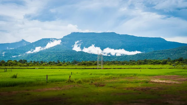 Dağ sis ve Pakse, Champasak, Laos sabah alanında
