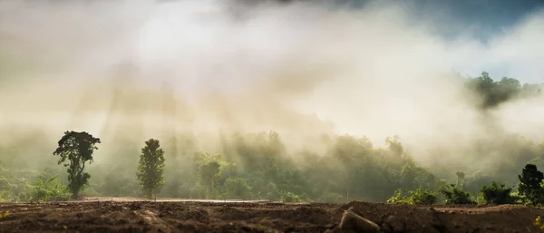 Dağda Vang Vieng, Laos, sabah sis