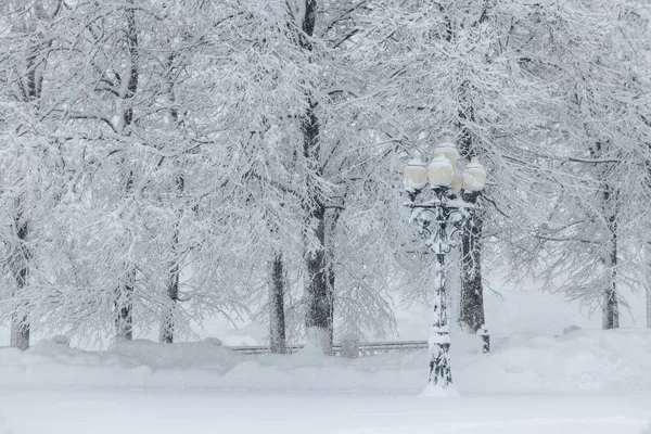 Lâmpada de rua coberta de neve profunda — Fotografia de Stock