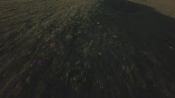 Church of the Intercession on the Nerl. Vladimir region, Russia. Aerial view. — Stock Footage Church of the Intercession on the Nerl. Vladimir region, Russia. Aerial view. Stock Video