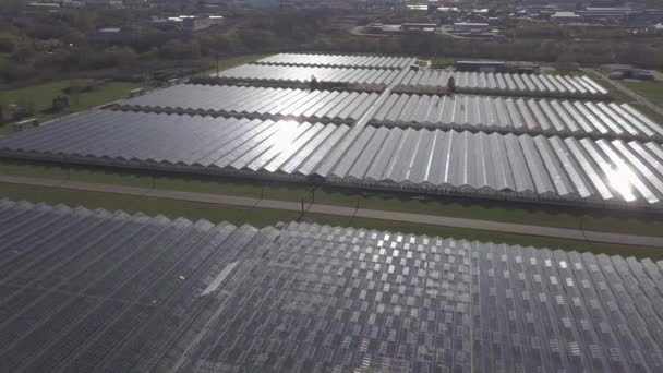 Vista aérea sobre el gran invernadero moderno — Vídeo de stock