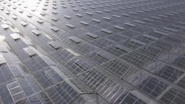 Büyük modern sera üzerinde havadan görünümü