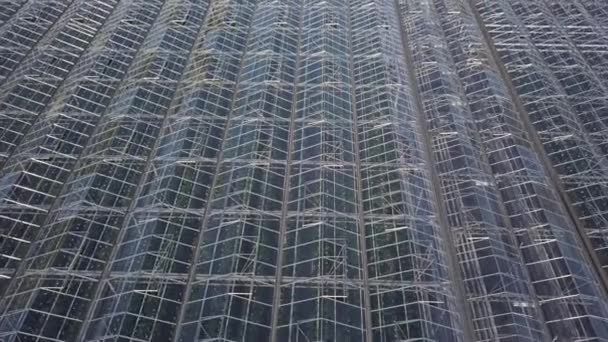 Aerial view on the large modern greenhouse — Stock Video