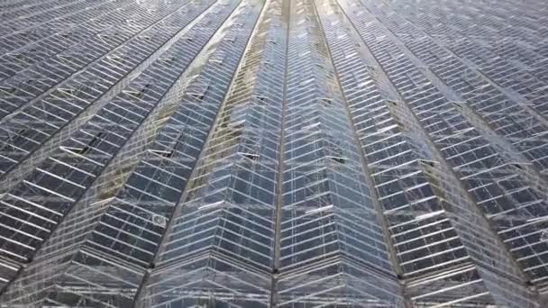 Aerial view on the large modern greenhouse — Stock Video