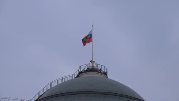 Moskva Kreml. Kupolen i byggnaden av senaten och senaten tornet — Stockvideo