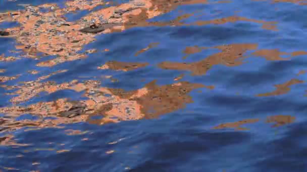 The surface of the water sways in the wind. Bright color reflections on the water. — Stockvideo