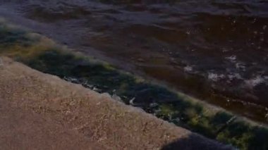 Dalgalar, Neva seti üzerindeki granit basamaklara vuruyor. Aziz Petersburg. Rusya