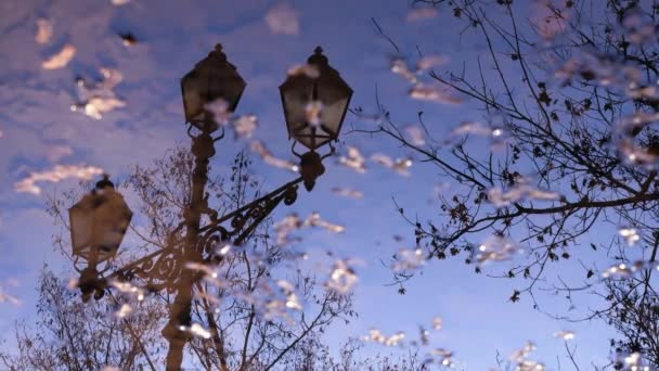 Reflectie van een lantaarn in een plas op een achtergrond van gele bladeren. — Stockvideo
