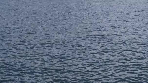 La surface de l'eau oscille dans le vent. Vidéo au ralenti 