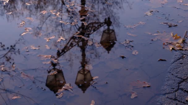 Reflection of a lantern in a puddle on a background of yellow leaves. — Stockvideo