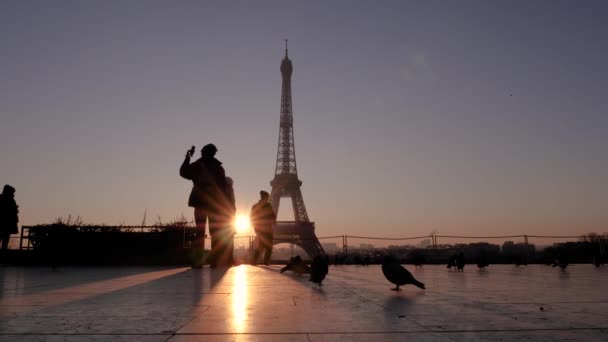Siluetas de personas y palomas sobre un fondo de la Torre Eiffel. Un hombre pasa por delante de la cámara. Movimiento lento — Vídeos de Stock