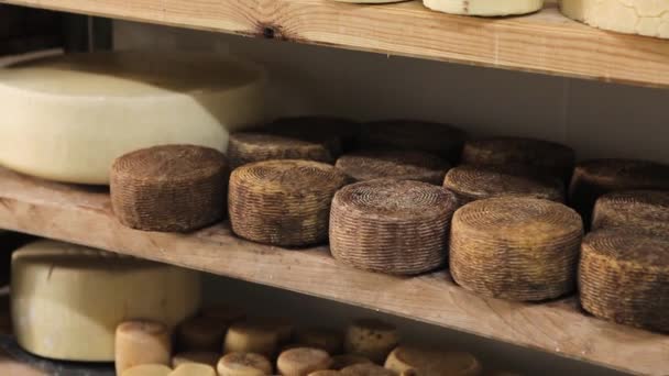 Heads of cheese on a wooden shelf at a cheese factory. — Stock Video