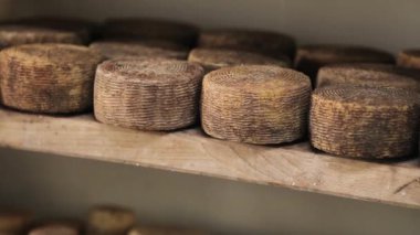 Peynir fabrikasında ahşap bir rafta peynir kafalar..