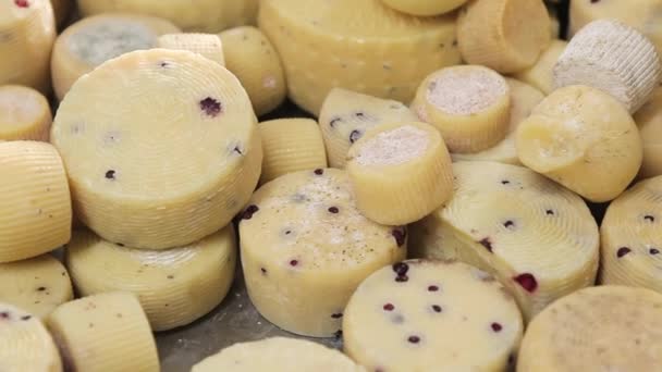 Molte teste di formaggio si trovano una sopra l'altra . — Video Stock