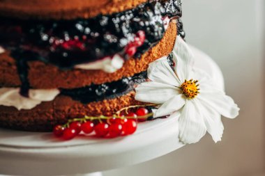 Böğürtlen ve çiçeklerle süslenmiş pasta. Kapat..