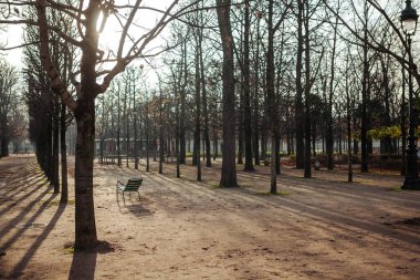 Tuileries Parkı 'nda boş bir sandalye. Paris 'te karantina.