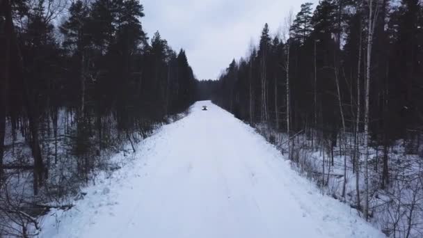 一辆汽车在雪地的路上穿过一片森林. — 图库视频影像