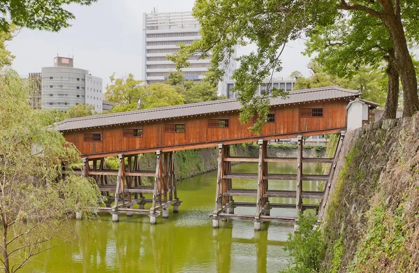 Ohashiroka pokryte zamek most Wakayama, Japonia — Zdjęcie stockowe