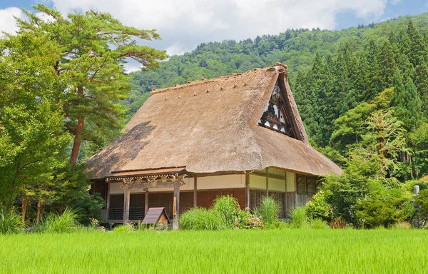 Myozen-ji Tapınağı Ogimachi gassho stil Köyü, Japonya