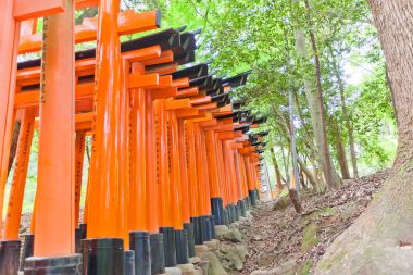 Kırmızı yakın geçit koridor Fushimi Inari Shinto Kyoto Tapınak,