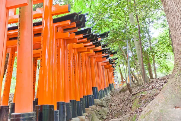 Red torii gate corridor in Fushimi Inari Shinto Shrine of Kyoto, — Stock Photo, Image