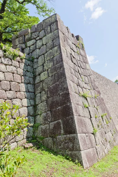 Walls of Shirakawa (Komine) Castle, Fukushima Prefecture, Japan — Stock Photo, Image